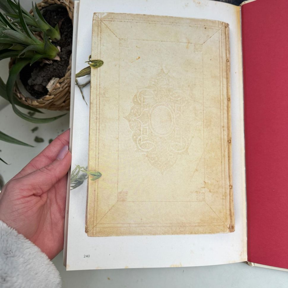 Книга о тюльпанах Tulipbook Нидерланды с переводом