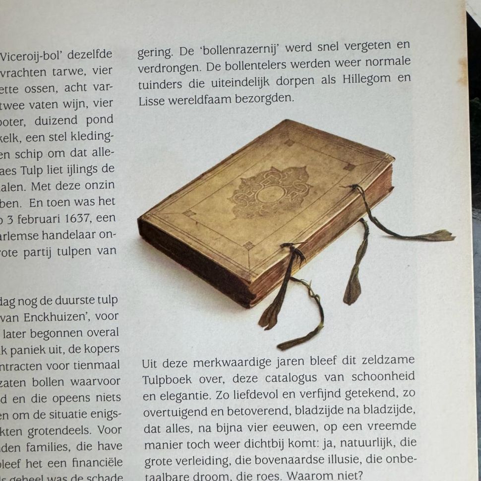 Книга о тюльпанах Tulipbook Нидерланды с переводом