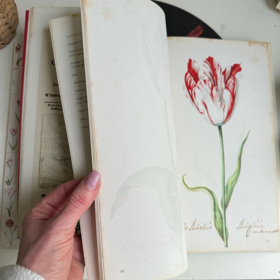 Книга о тюльпанах Tulipbook Нидерланды с переводом