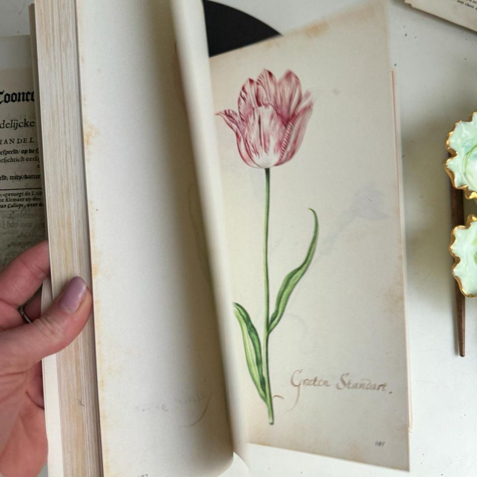 Книга о тюльпанах Tulipbook Нидерланды с переводом