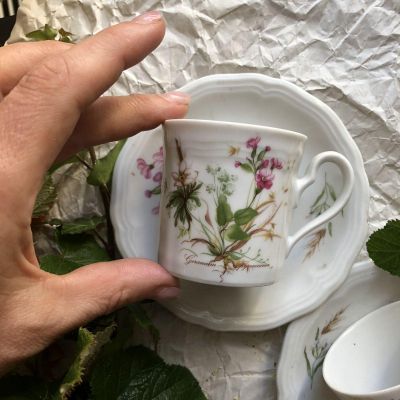 Кофейная пара Seltmann Weiden Germany, рисунок Geranium