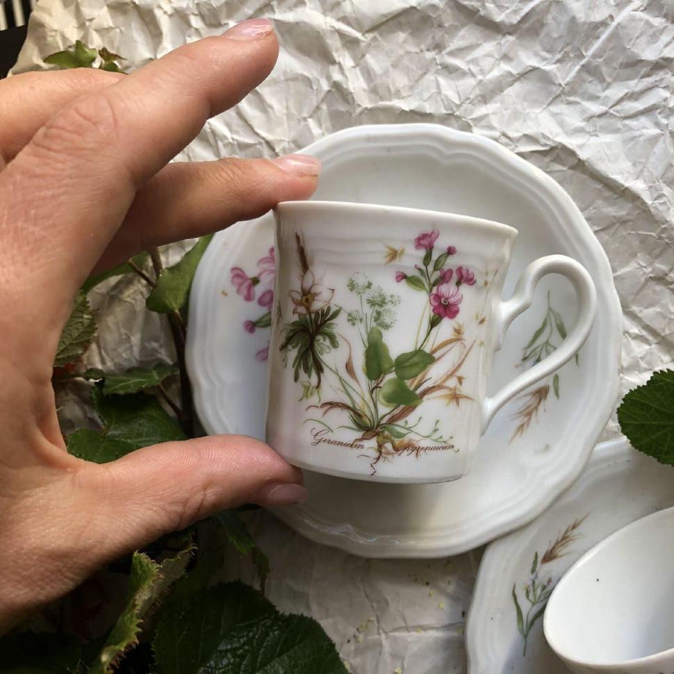 Кофейная пара Seltmann Weiden Germany, рисунок Geranium