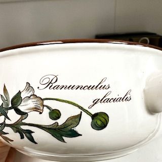Миска с ручками Botanica ВиллеройБох 300 мл