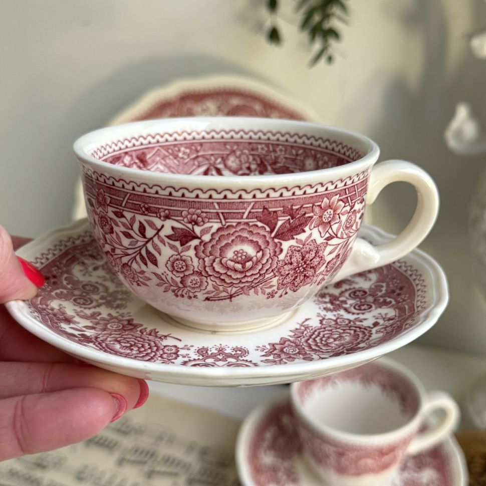 Чайная пара ВиллеройБох Burgenland 220 мл фарфор Германия 