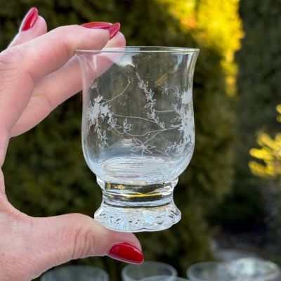 Рюмка Rosenthal Monbijou с узором 80 мл хрусталь Германия 