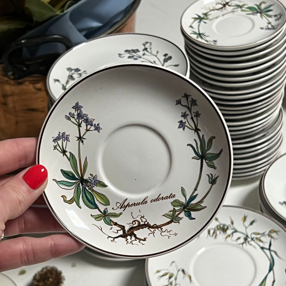 Блюдце Botanica ВиллеройБох 12 см