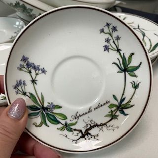 Блюдце Botanica ВиллеройБох 12 см