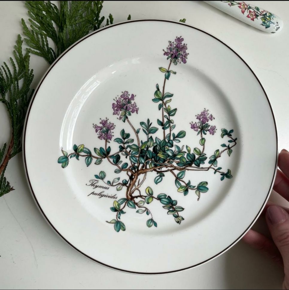 Тарелка для завтрака Botanica 21 см 2000-е ВиллеройБох без корешка