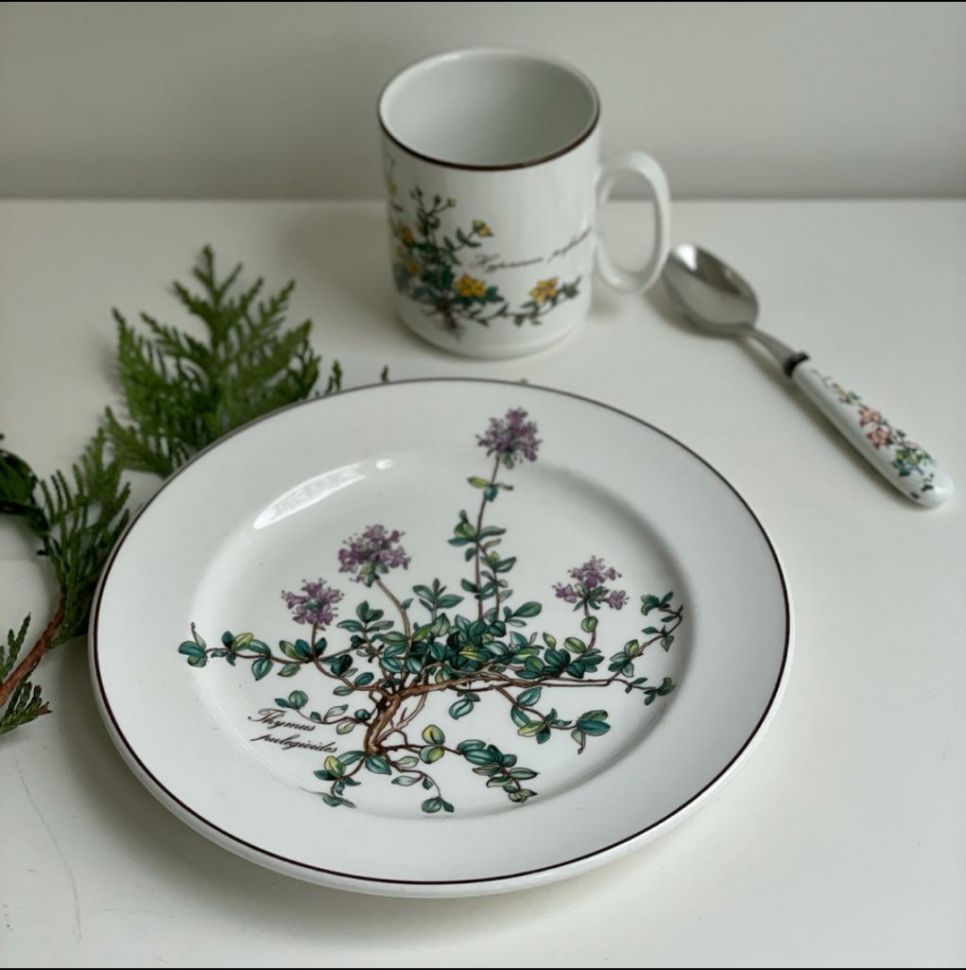 Тарелка для завтрака Botanica 21 см 2000-е ВиллеройБох без корешка