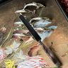 Подставка сервировочная для карточки Дельфин 8 см серебрение