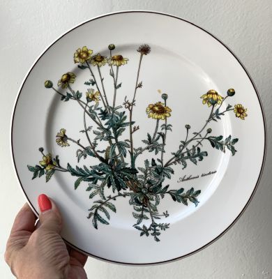 Тарелка ВиллеройБох Botanica Anthemis tinctoria 26 см без корешка