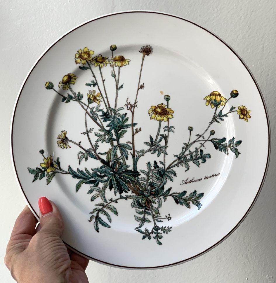 Тарелка ВиллеройБох Botanica Anthemis tinctoria 26 см без корешка