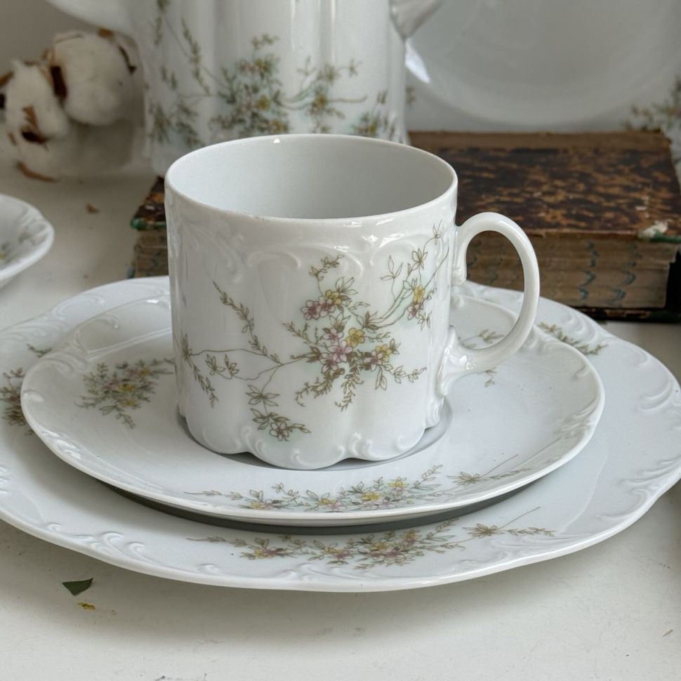 Чайная пара Rosenthal Monbijou полевые цветы 200 мл Германия