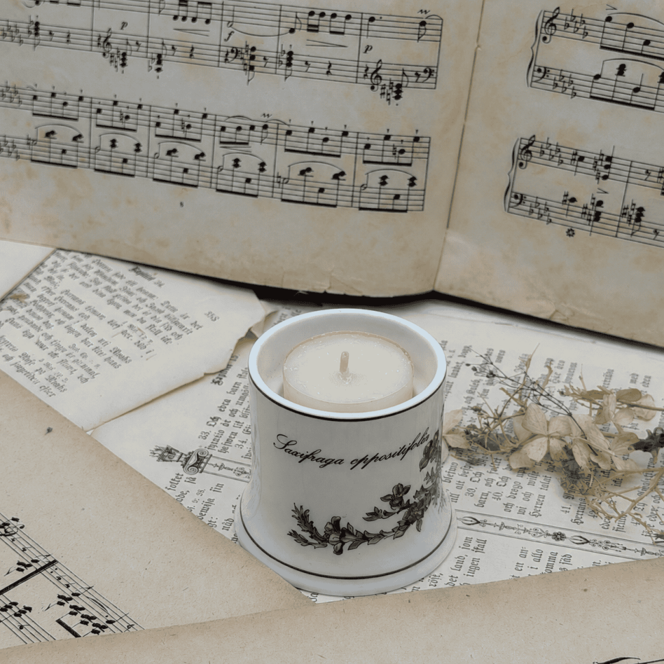 Подсвечник ВиллеройБох Botanica Saxifraga oppositifolia 7 см