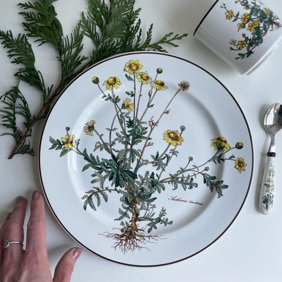 Тарелка блюдо Botanica ВиллеройБох 27 см с корешком