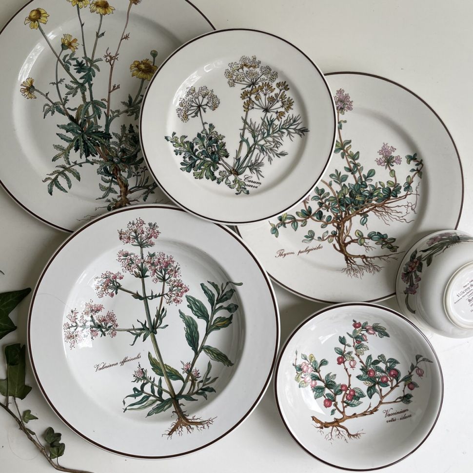 Тарелка блюдо Botanica ВиллеройБох 27 см с корешком