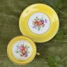 Кофейная пара Porcelainerie Nouvelle Limoges 100 мл фарфор Франция
