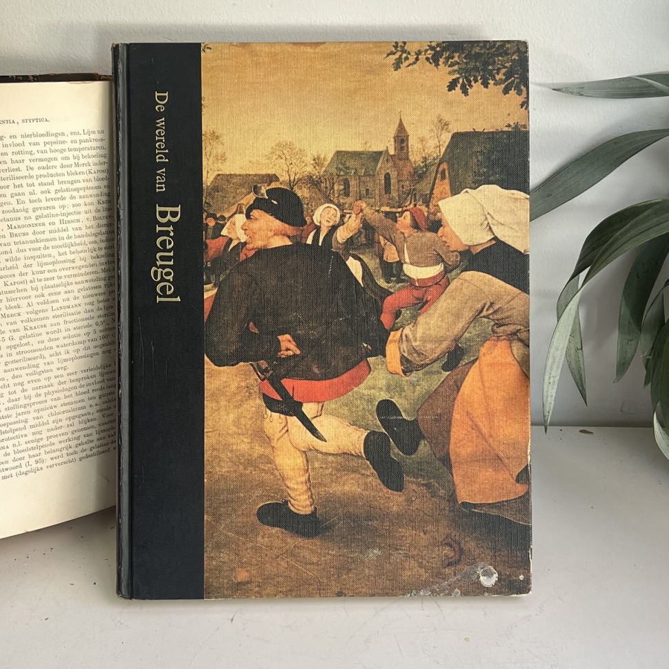 Книга альбом Брейгель на голланд. яз.
