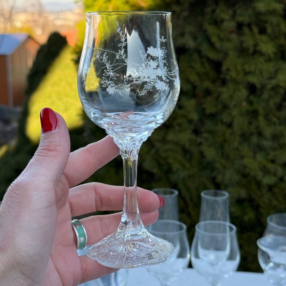 Бокал Rosenthal Monbijou с узором 170 мл хрусталь Германия