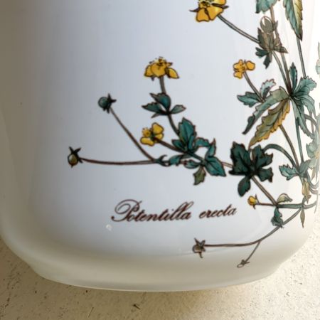 Банка Botanica Potentilla erecta 1000 мл ВиллеройБох 