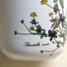 Банка Botanica Potentilla erecta 1000 мл ВиллеройБох 