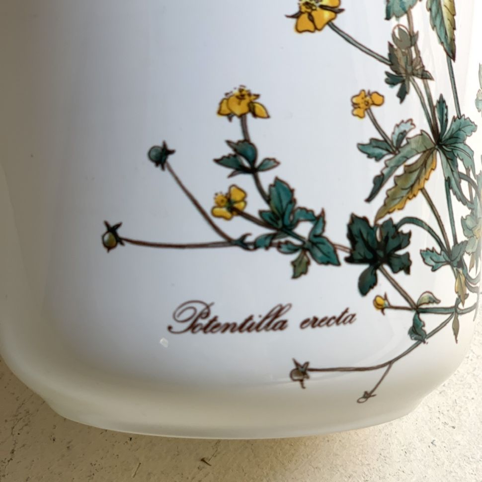 Банка Botanica Potentilla erecta 1000 мл ВиллеройБох