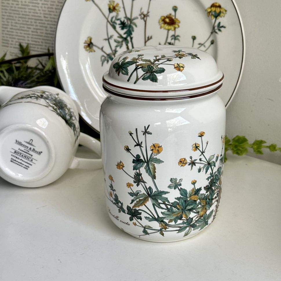 Банка Botanica Potentilla erecta 1000 мл ВиллеройБох 