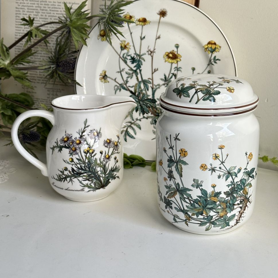 Банка Botanica Potentilla erecta 1000 мл ВиллеройБох 