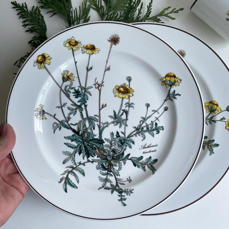 Тарелка ВиллеройБох Botanica Anthemis tinctoria 24 см без корешка