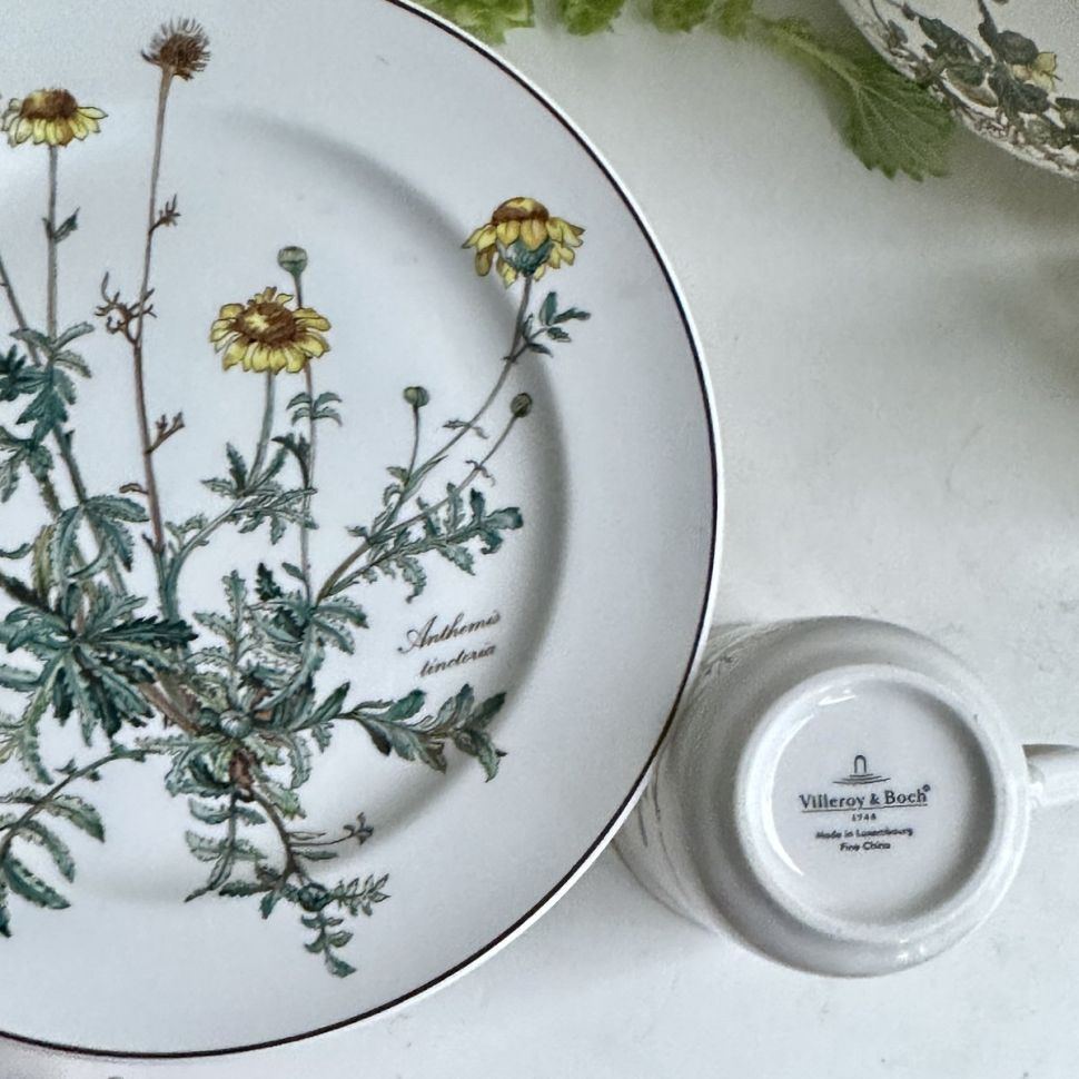 Тарелка ВиллеройБох Botanica Anthemis tinctoria 24 см без корешка