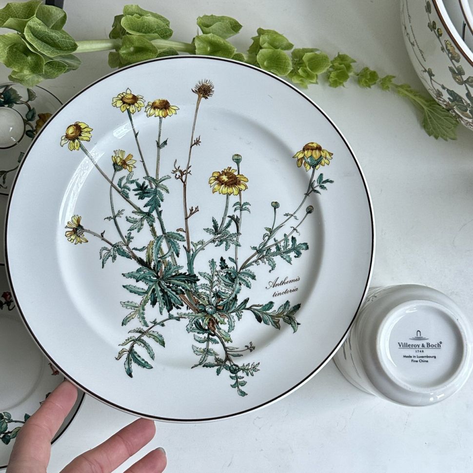 Тарелка ВиллеройБох Botanica Anthemis tinctoria 24 см без корешка