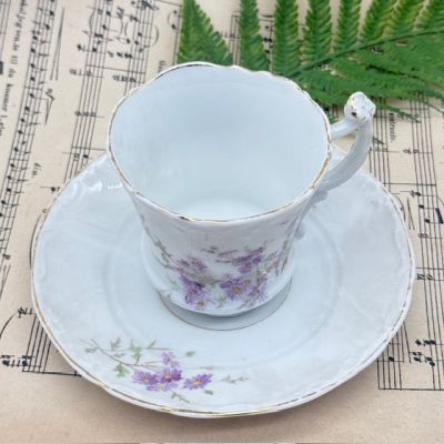 Кофейная пара Carl Tielsch 125 мл фарфор Германия 1900 гг