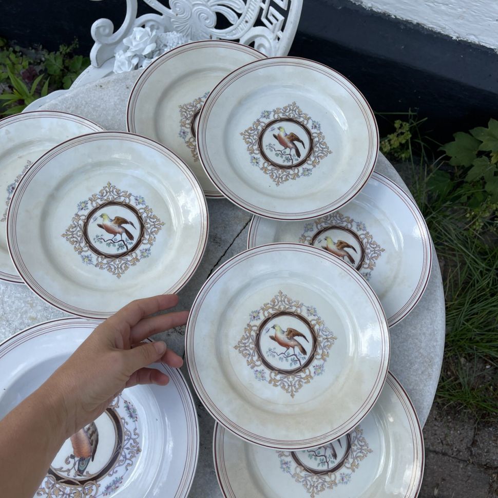 Тарелка Gustafsberg Попугай 22 см Швеция набор 7 шт.  