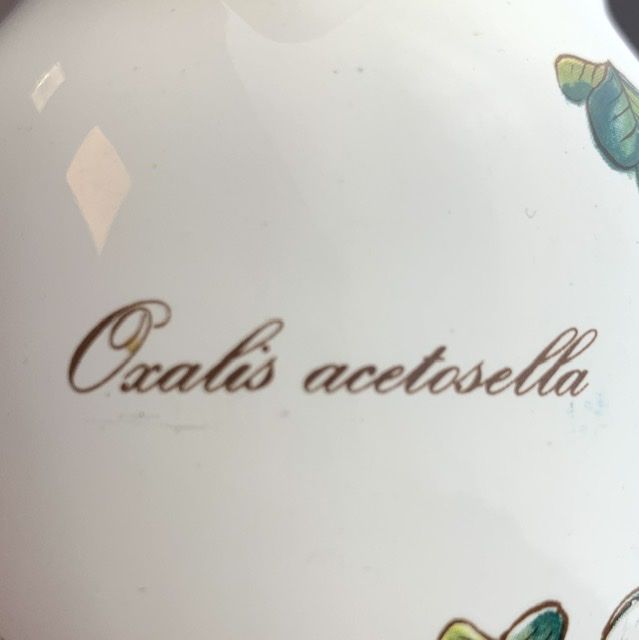 Молочник Botanica Oxalis сиреневый 200 мл