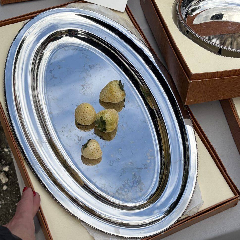 Блюдо поднос Bouillet Bourdelle Pearls 42 см сталь Франция