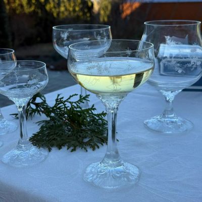 Бокал креманка Rosenthal Monbijou с узором 220 мл хрусталь Германия