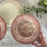 Тарелка глубокая English Ironstone Company 22 см Англия