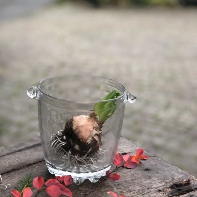 Ведро для льда или бутылки хрусталь