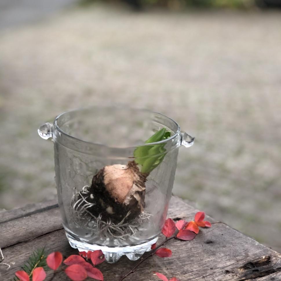 Ведро для льда или бутылки хрусталь