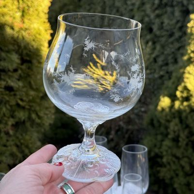 Бокал Rosenthal Monbijou с узором 600 мл хрусталь Германия