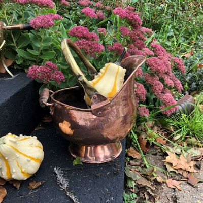 Зольник средний с деревянной ручкой