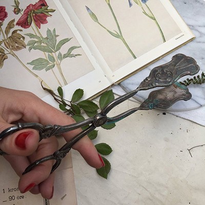 Щипцы-ножницы для закусок