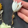 Брошь Белый тюльпан 7 см Германия 