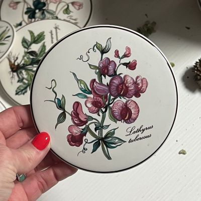 Крышка круглая для шкатулки Botanica ВиллеройБох 12 см