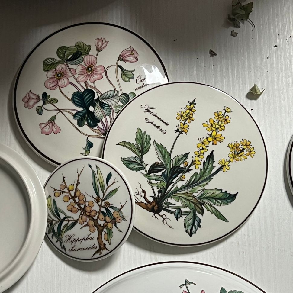 Крышка круглая для шкатулки Botanica ВиллеройБох 12 см 