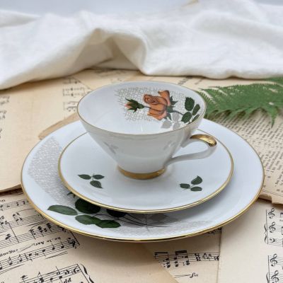 Чайная тройка Rose Seltmann Weiden 170 мл Германия