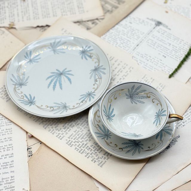 Чайное трио Schwarzenhammer 150 мл фарфор Бавария 