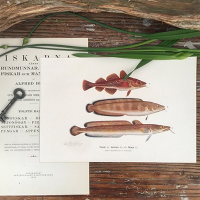 Литография Рыбы 17 Швеция