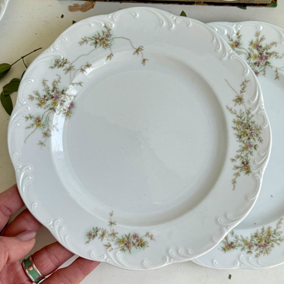 Тарелка для завтрака Rosenthal Monbijou полевые цветы 20 см Германия