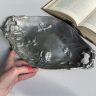 Блюдо фруктовница Арнуво 35 см олово Франция